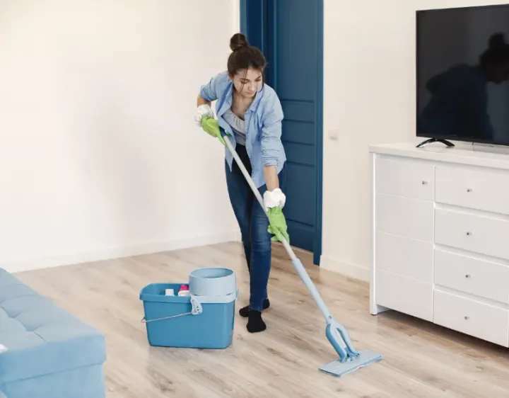 Femme de ménage Grenant